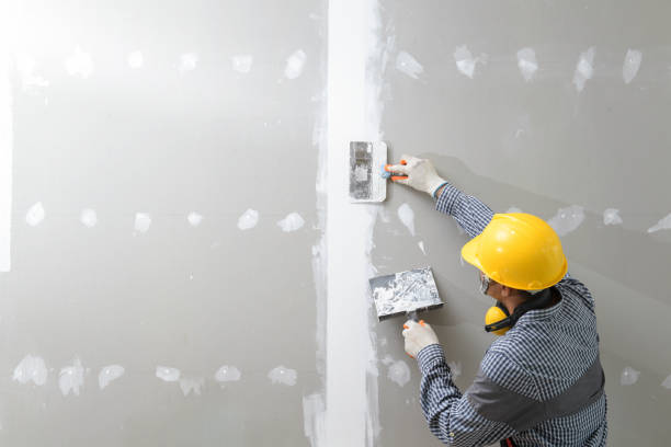 Best Asbestos and Lead Testing During Mold Inspection  in Plymouth, MI