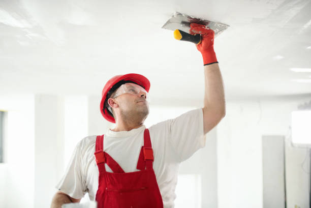 Best Airborne Mold Testing  in Plymouth, MI